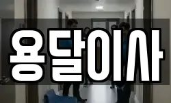 용달이사