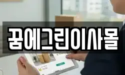 꿈에그린이사몰