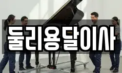 둘리용달이사