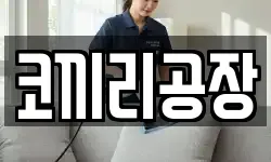 울산 중구 성안동 청소,입주청소,사무실청소,에어컨청소