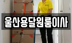 울산용달원룸이사
