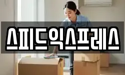 스피드익스프레스