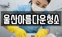 울산아름다운청소