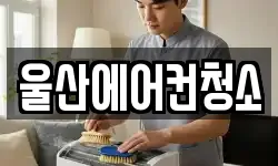 울산 중구 우정동 청소,입주청소,사무실청소,에어컨청소
