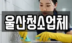 울산청소업체
