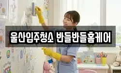 울산입주청소 반들반들홈케어