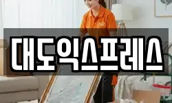 대도익스프레스