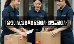 울산이사,원룸투룸용달이사,일반포장이사
