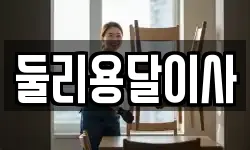 둘리용달이사