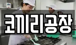 코끼리공장