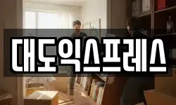대도익스프레스