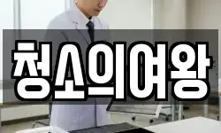 청소의여왕