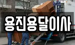 용진용달이사