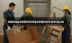 원룸이사용달이사포장이사사무실이사보관이사야간이사당일이사
