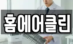 홈에어클린