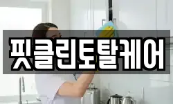 핏클린토탈케어