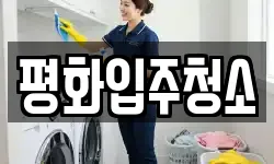 평화입주청소