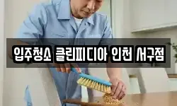 입주청소 클린피디아 인천 서구점
