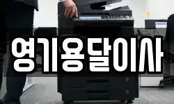 영기용달이사