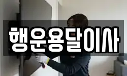 행운용달이사