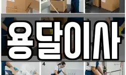인천광역시 계양구 다남동 이사,용달이사,포장이사,원룸이사,보관이사