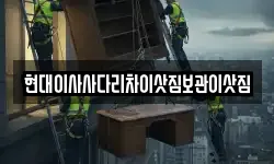 현대이사사다리차이삿짐보관이삿짐