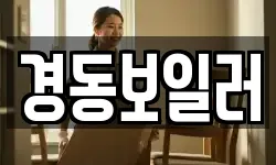 경동보일러