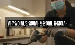 사무실이사,당일이사,보관이사,용달이사
