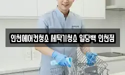 인천에어컨청소 세탁기청소 일당백 인천점
