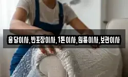 용달이사,반포장이사,1톤이사,원룸이사,보관이사