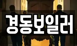 경동보일러