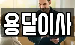 용달이사