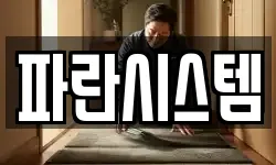 파란시스템
