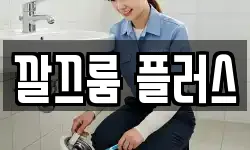 깔끄룸 플러스