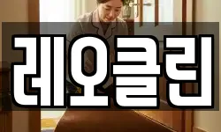 레오클린