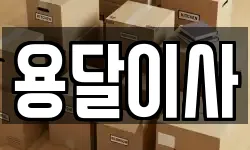 용달이사