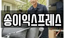 송이익스프레스