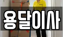 용달이사