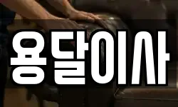 용달이사