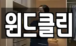 윈드클린