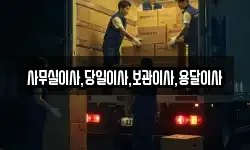 사무실이사,당일이사,보관이사,용달이사