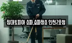 침대토피아 소파,쇼파청소 인천2호점
