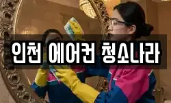 인천 에어컨 청소나라