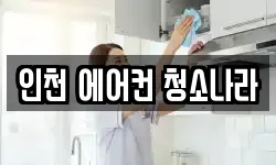 인천 에어컨 청소나라