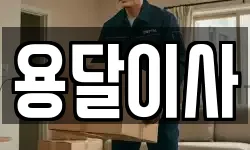 용달이사