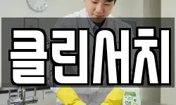 클린서치