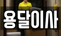 용달이사