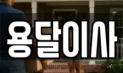 용달이사