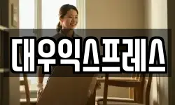 대우익스프레스
