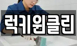 럭키윈클린